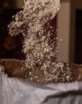 flour from the Moulin du Vivier falling into a bag for professionals